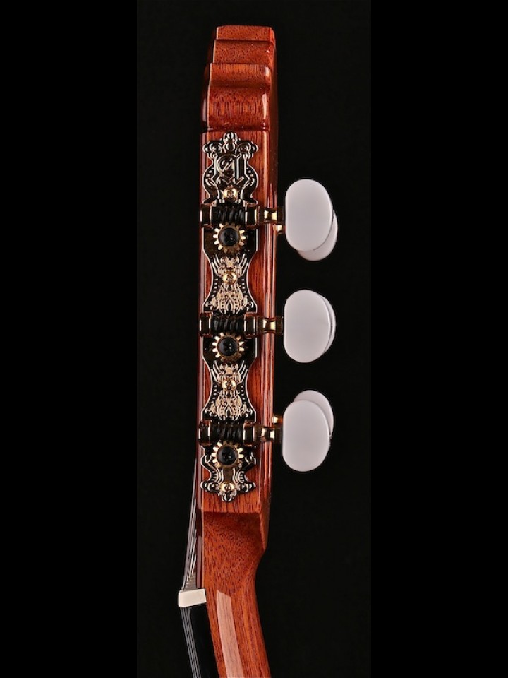 Thin-Line Cutaway Flamenco with Fishman ProBlend