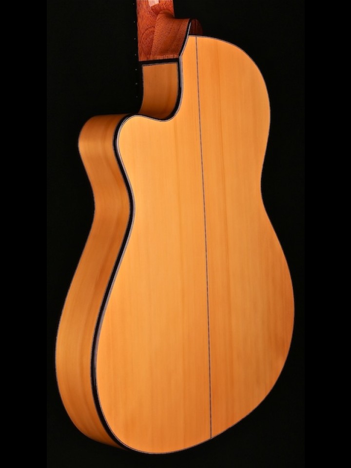 Thin-Line Cutaway Flamenco with Fishman ProBlend