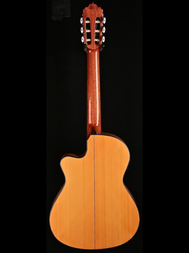 Thin-Line Cutaway Flamenco with Fishman ProBlend