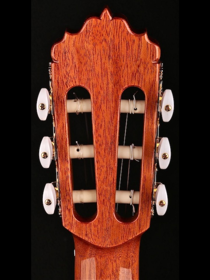 Thin-Line Cutaway Flamenco with Fishman ProBlend