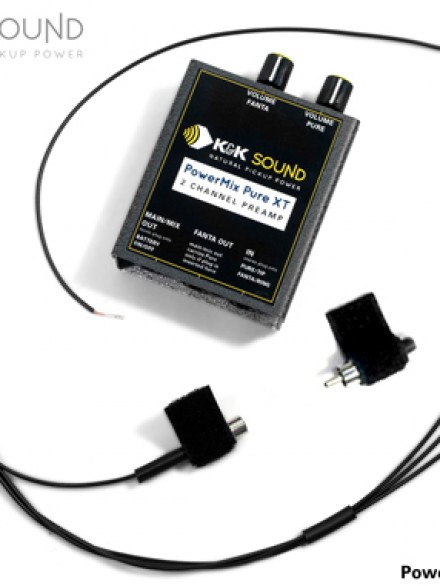 Dual Source Pickup/Pickup System with Preamp
