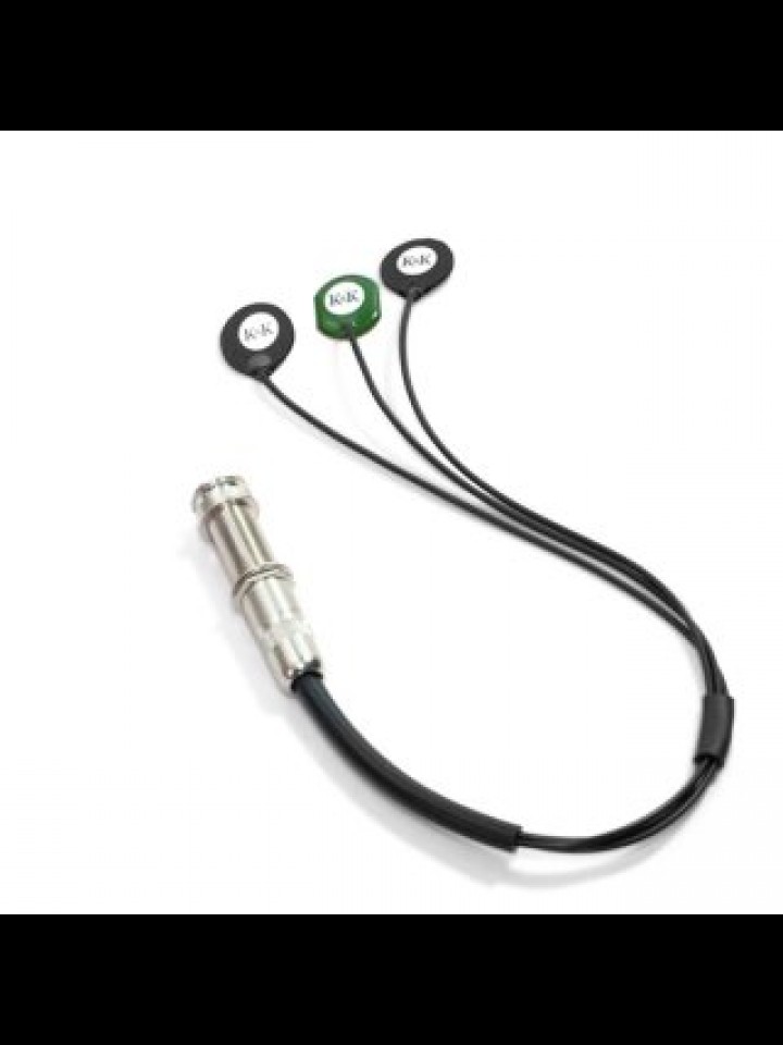 Passive Transducer Pickup System for 12-String