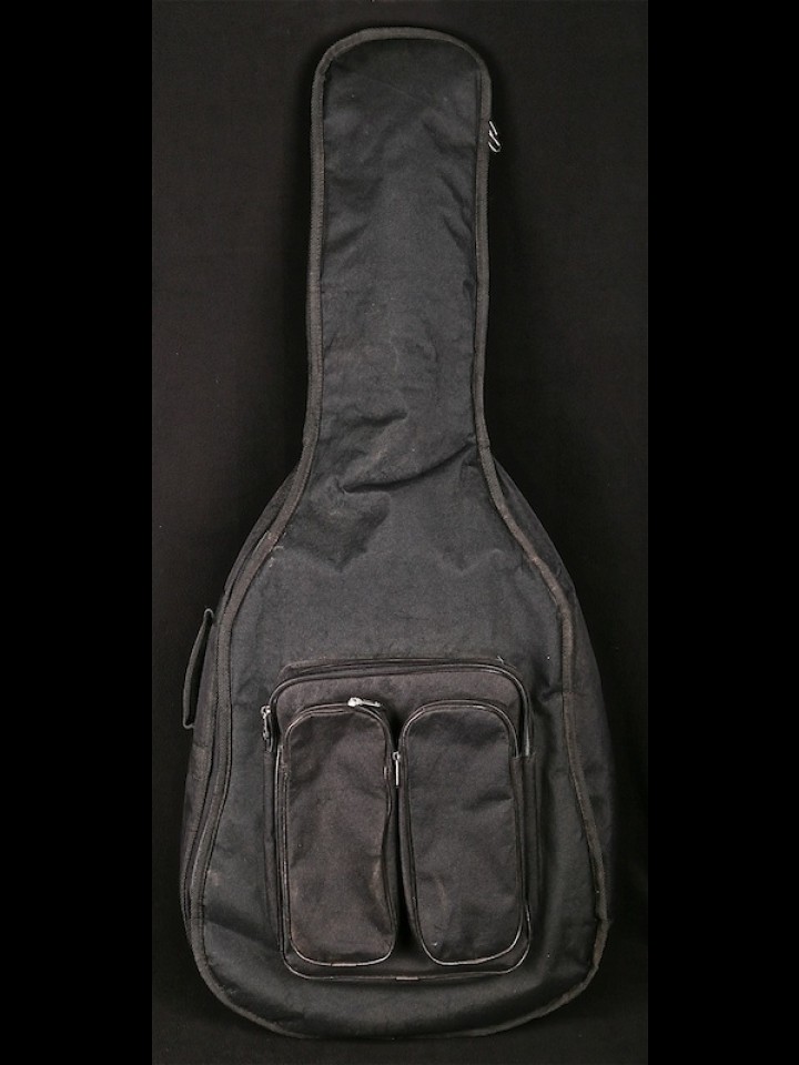 USED ARTCORE AF75 HOLLOWBODY W/GIG BAG